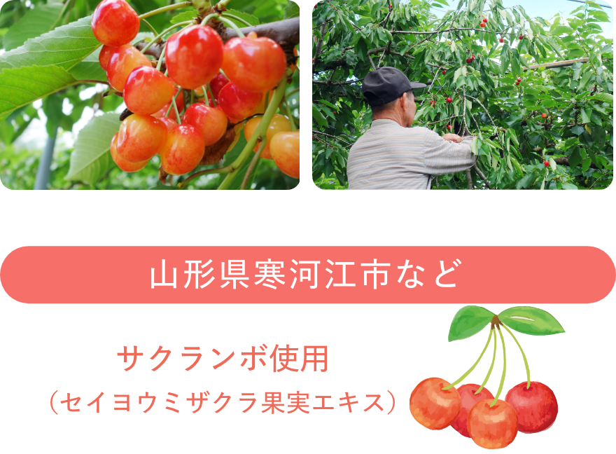 山形県寒河江市などのサクランボ使用（セイヨウキザクラ果実エキス）