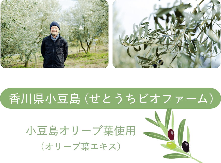 香川県小豆島（せとうちビオファーム）の小豆島オリーブ葉使用（オリーブ葉エキス）